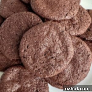 Nabisco Famous Chocolate Wafers Homemade