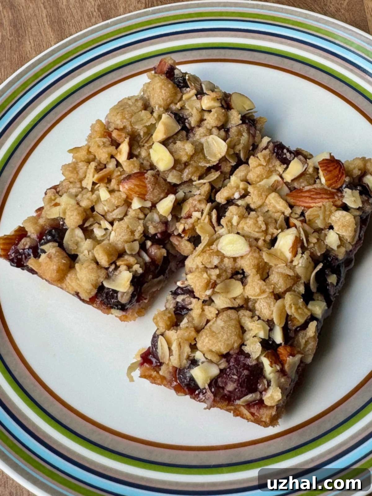 Blueberry Crumb Bars recipe can be vegan or just egg-free. Golden crumb topping with a vibrant blueberry filling.