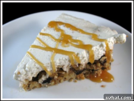 Classic Ritz Cracker Pie 2 Close-up of Ritz Cracker Pie slice