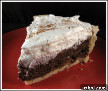 A close-up shot of a slice of Maya Chocolate Cream Pie, showcasing its smooth, dark chocolate filling and light, fluffy whipped cream topping, ready to be enjoyed.