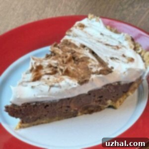 A visually appealing Mayan Chocolate Pie, enriched with cayenne and cinnamon, finished with a smooth layer of whipped cream, presented as a delectable dessert.