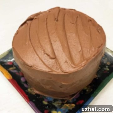 Nana's Decadent Devil's Food Cake Topped with Silken Chocolate 2 Nana's Favorite Devil's Food Cake - Rich and moist chocolate cake with silky frosting