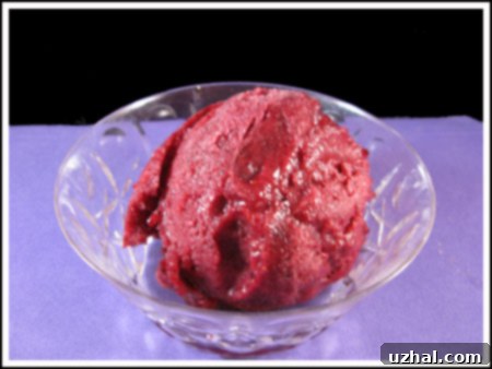 Vibrant homemade blueberry ginger sorbet in a bowl