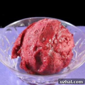 Blueberry Ginger Sorbet recipe