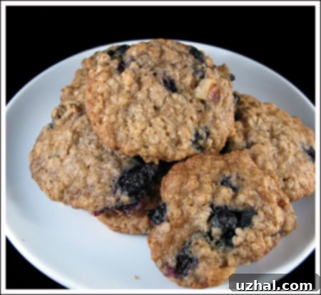 Freshly baked blueberry oatmeal cookies on a wire rack