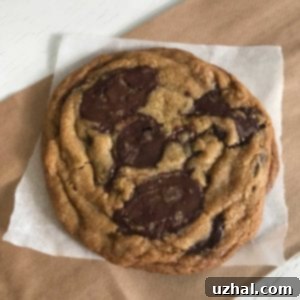 Bouchon Bakery Style Chocolate Chip Cookies