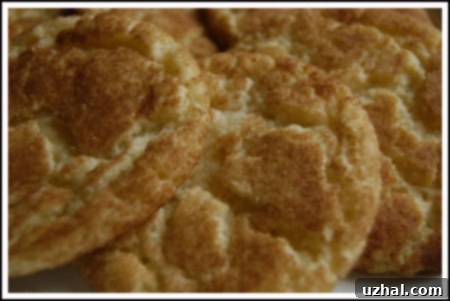 snickerdoodles with a perfect crackly top