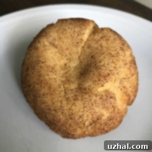 Snickerdoodles Made With Ghee