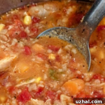 Instant Pot Tortilla Soup