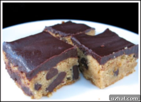 peanut butter chocolate chunk brownies