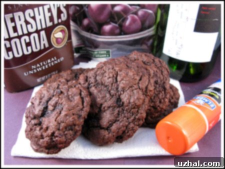 A close-up image of two delicious Cherry Chocolate Red Wine Cookies, showcasing their rich texture, chocolate chips, and dried cherries.