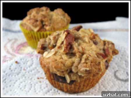 Homemade Streusel Coffee Cake Muffins with Pecans and Chocolate
