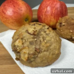Old Fashioned Applesauce Cookies