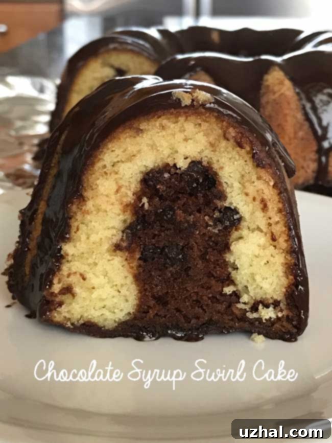 Award-Winning Chocolate Syrup Swirl Cake with a beautiful chocolate swirl pattern
