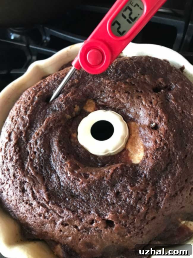 Using a thermometer to check the internal temperature of the Chocolate Syrup Swirl Cake
