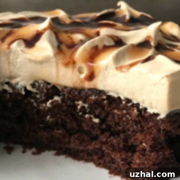 Caramel Macchiato Chocolate Cake with delicious chocolate and coffee flavors.