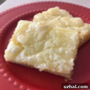 Neiman Marcus Bars - a classic St. Louis Gooey Butter Cake dessert