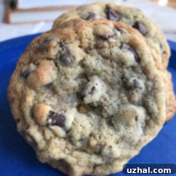 Bran Chocolate Chip Cookies recipe with unprocessed wheat bran
