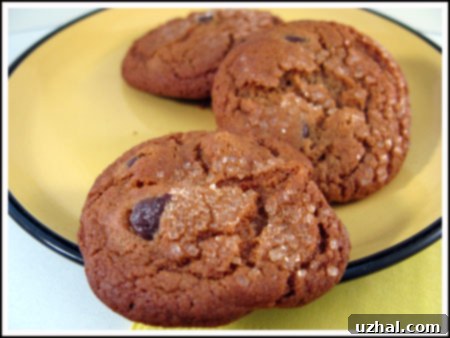 Delicious homemade chocolate chip gingersnaps on a cooling rack, perfectly crispy and ready to eat.