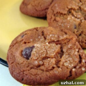 Chocolate Chip Gingersnaps recipe