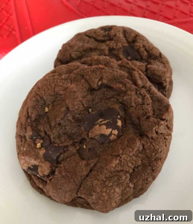 double chocolate espresso cookies
