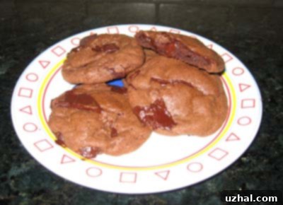merrittcookies.jpg