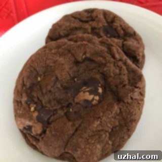 double chocolate espresso cookies
