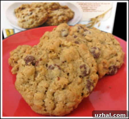 granola chocolate chip cookies
