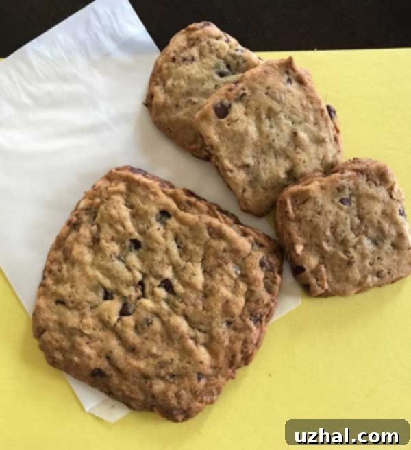 granola chocolate chip cookies