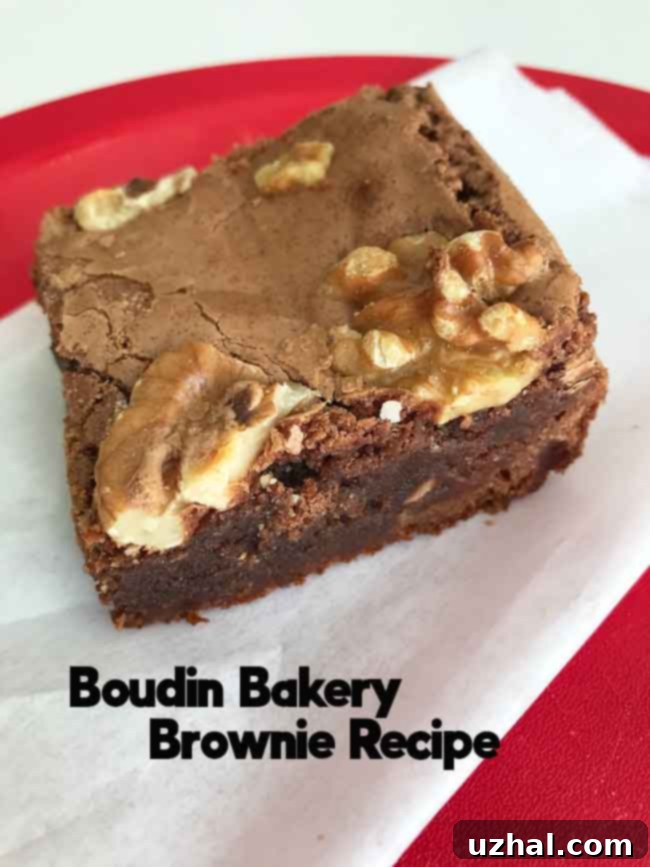 Boudin Bakery Brownies baked in a 9x13 inch glass pan, showcasing their rich, fudgy texture and crinkled top.