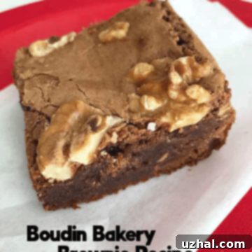 Close-up of baked Boudin Bakery Brownies, showing their fudgy interior and crinkly top.
