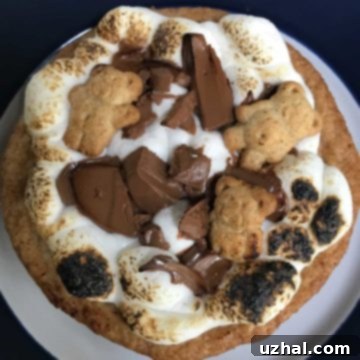 Muffin Top Pan S'mores Cookies, beautifully toasted and gooey with melted chocolate