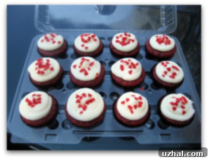 Plastic Container City Cupcake Packaging