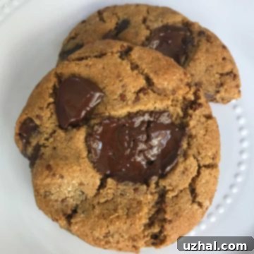 Quinoa Chocolate Chip