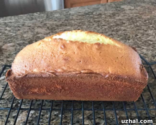 Perfectly baked Lemon Loaf Cake with a golden brown crust, ready to be sliced for serving.