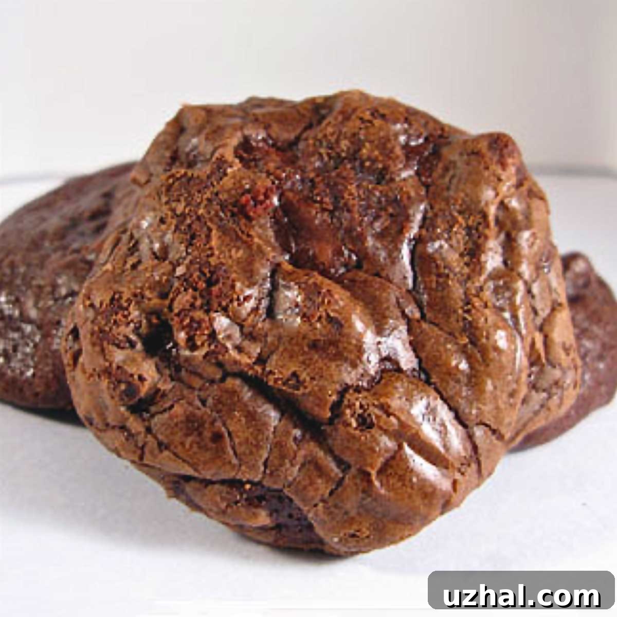 Freshly baked Julia Child double chocolate cookies cooling on a wire rack, showcasing their rich, dark hue and crinkled tops.