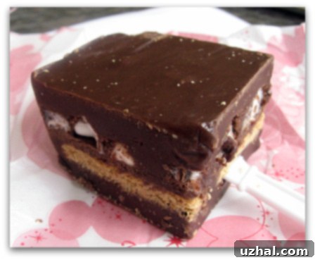 smoresfudge Disney World S'mores Fudge