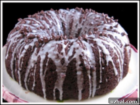 Close-up of a freshly baked Chocolate Pumpkin Bundt Cake