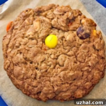 Toasted Wheat Germ Monsters