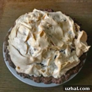 chocolate hazelnut meringue pie