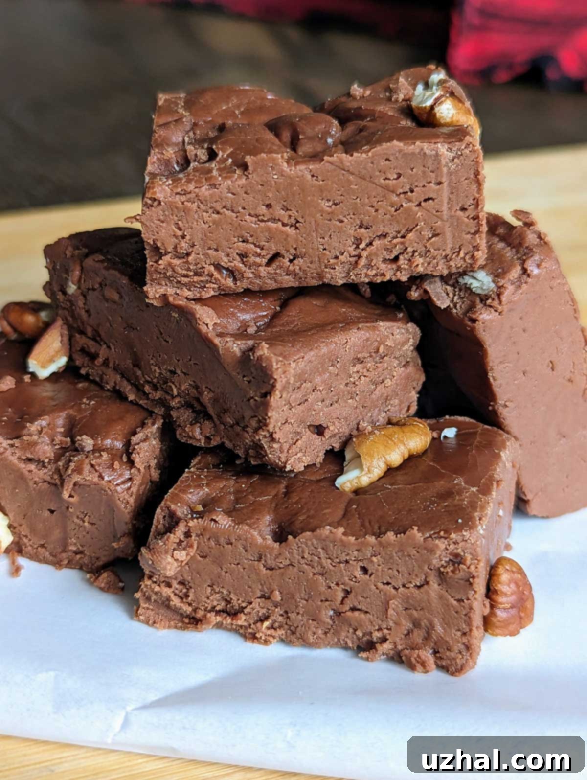 Fine Cooking Creamy Chocolate Fudge Recipe - A close-up of a perfectly cut square of rich, dark chocolate fudge.