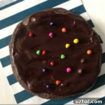 Galaxy Brownies or Cosmic Double Chocolate Cookies