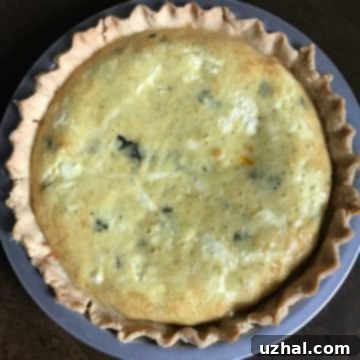 Mayonnaise Quiche