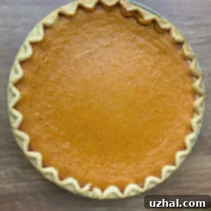Ruth Reichl's Sweet Potato Pie from Comfort Me With Apples