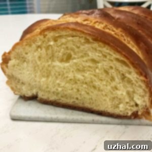 Challah Texture