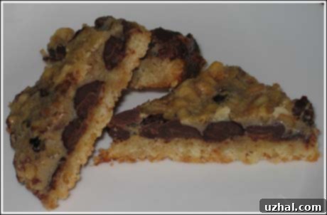Chocolate Maple Nut Bars