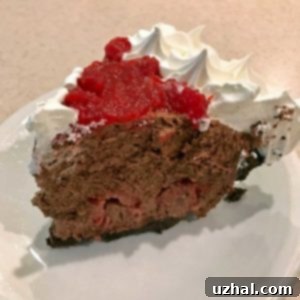 Slice of Chocolate Raspberry Pie
