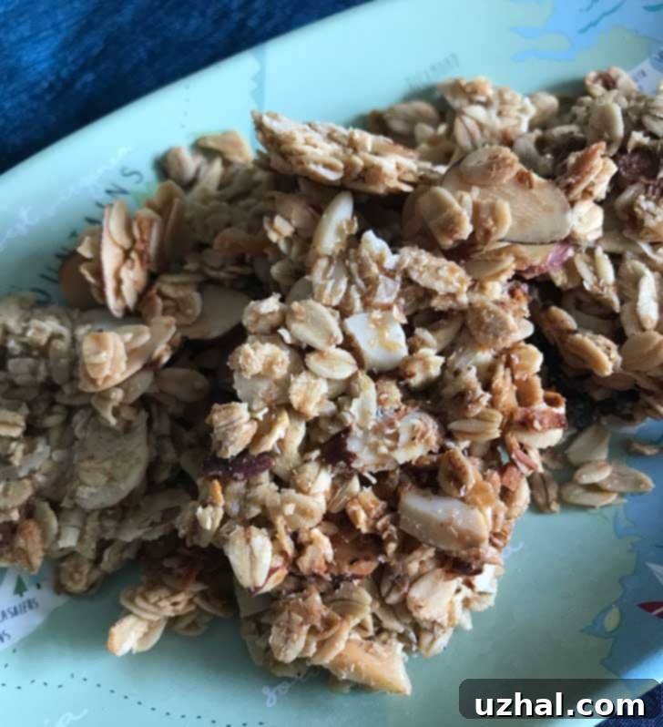A bowl of homemade Low FODMAP granola, featuring oats, coconut flakes, and sliced almonds, perfect for a healthy and digestive-friendly breakfast.