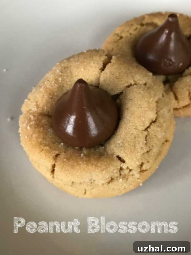 Peanut Blossom Cookies, a classic American cookie with a chocolate kiss