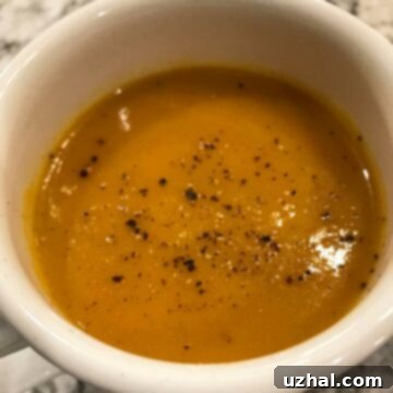 A beautifully presented bowl of Carrot Cardamom Soup, garnished and ready to serve.